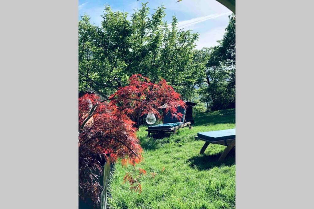 2P Au Coeur Des Montagnes Avec Piscine Chauffee Appartement Puget-Théniers Buitenkant foto