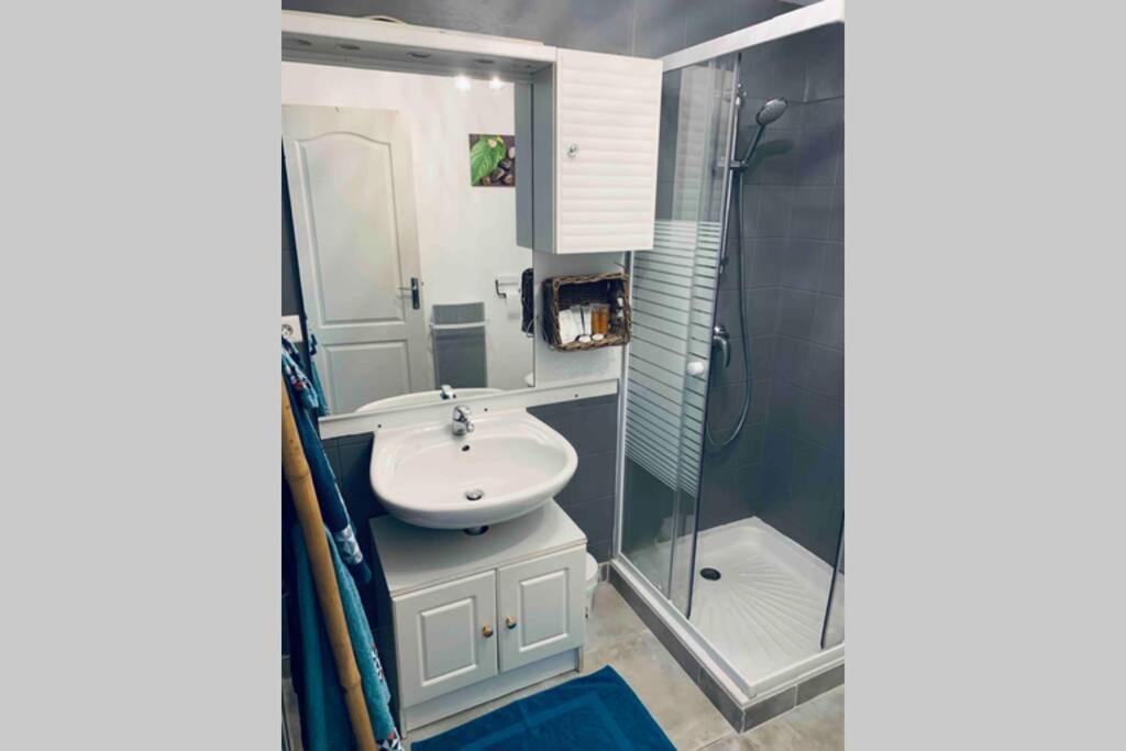 2P Au Coeur Des Montagnes Avec Piscine Chauffee Appartement Puget-Théniers Buitenkant foto