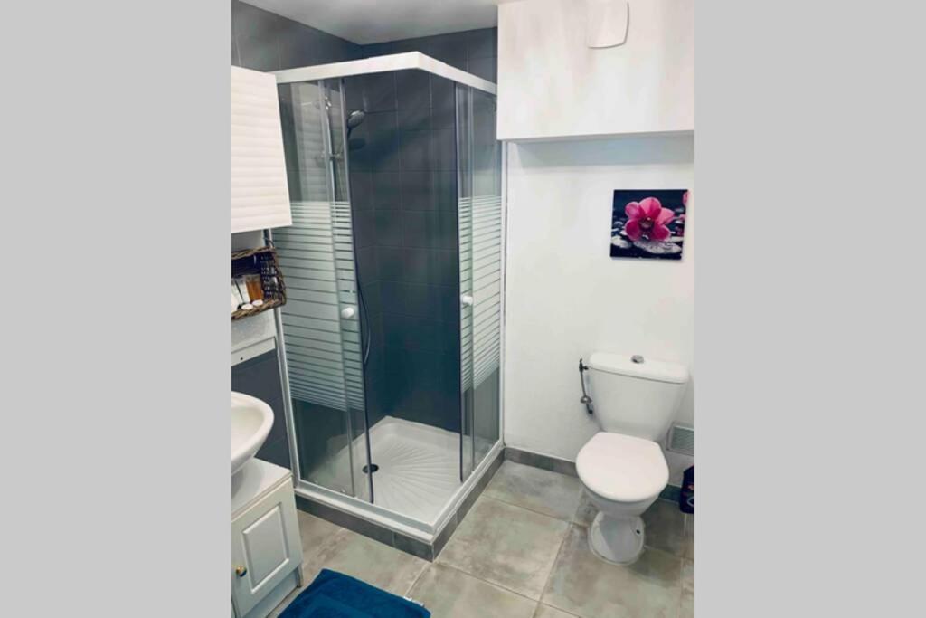 2P Au Coeur Des Montagnes Avec Piscine Chauffee Appartement Puget-Théniers Buitenkant foto